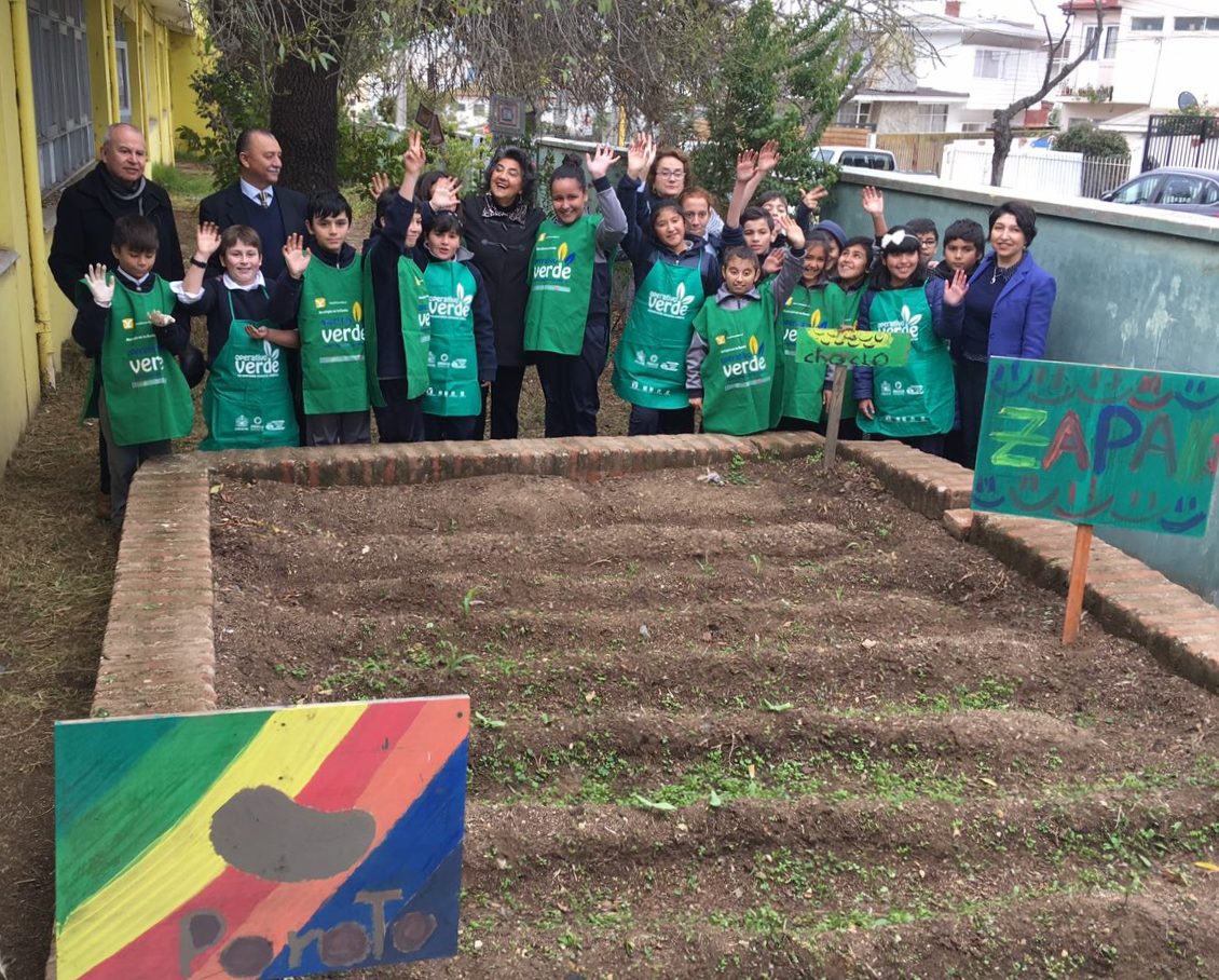 En el Día Mundial del Medioambiente: establecimientos educacionales de Viña del Mar destacan en certificación ambiental