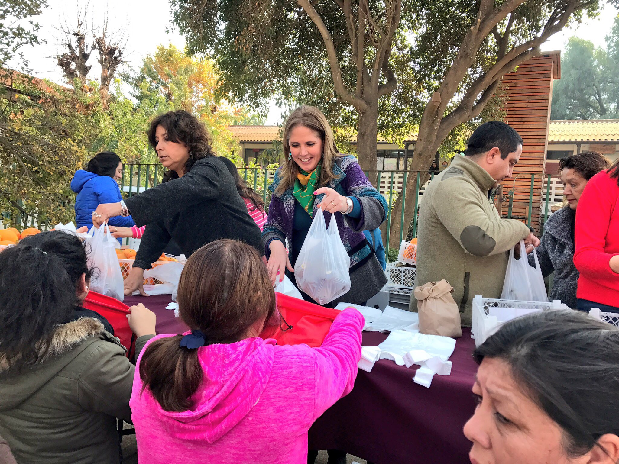Casi 1000 kilos de kiwis de exportación que se dirigían a Corea fueron regalados en Olmué