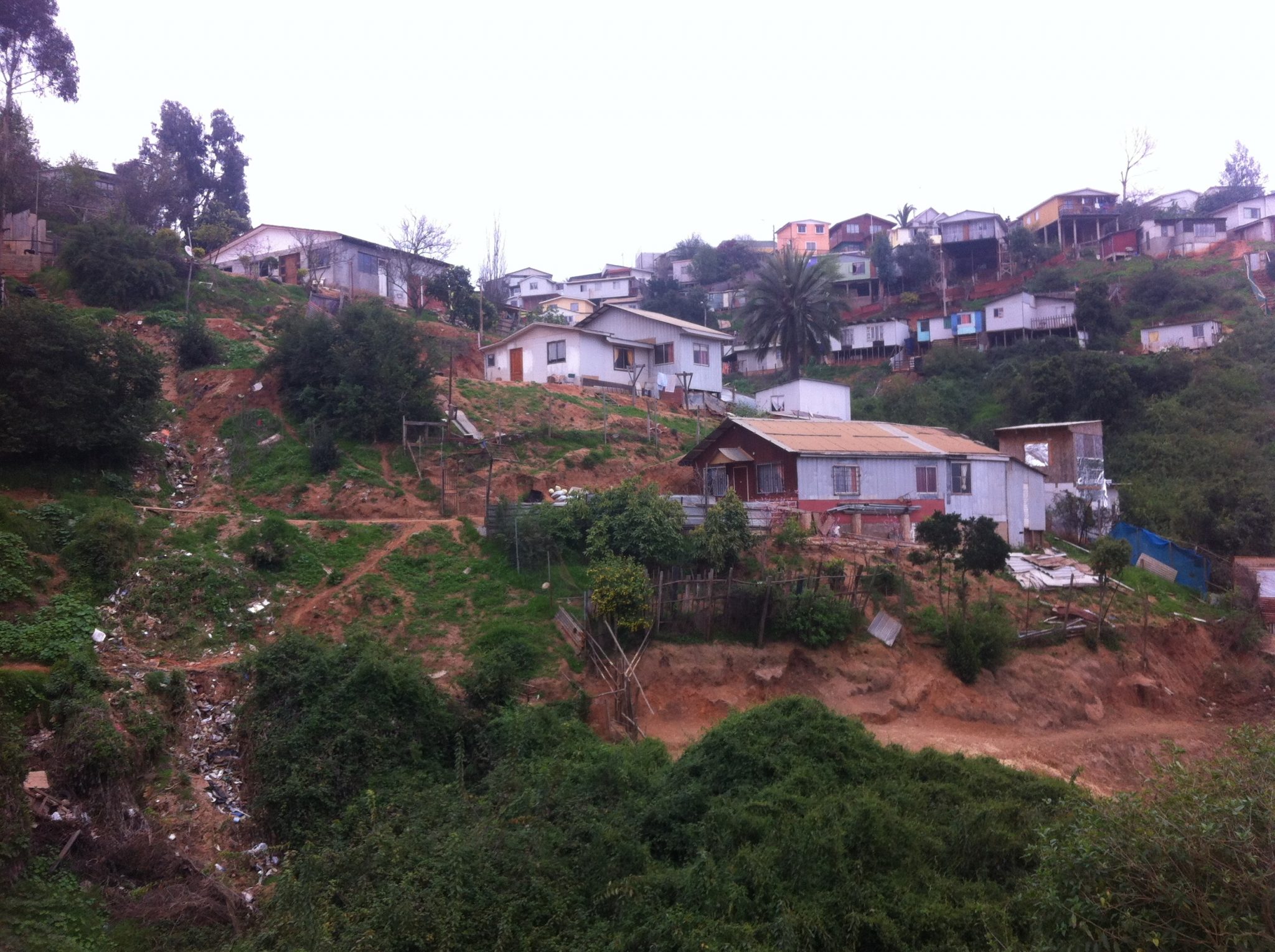 Municipalidad de Viña del Mar inicia proceso para elaborar especialidades en campamento de forestal