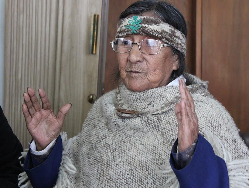 Niños de Viña del Mar conocen la historia de la última Maestra de Paz y Tesoro Humano Vivo, Domitila Cuyul