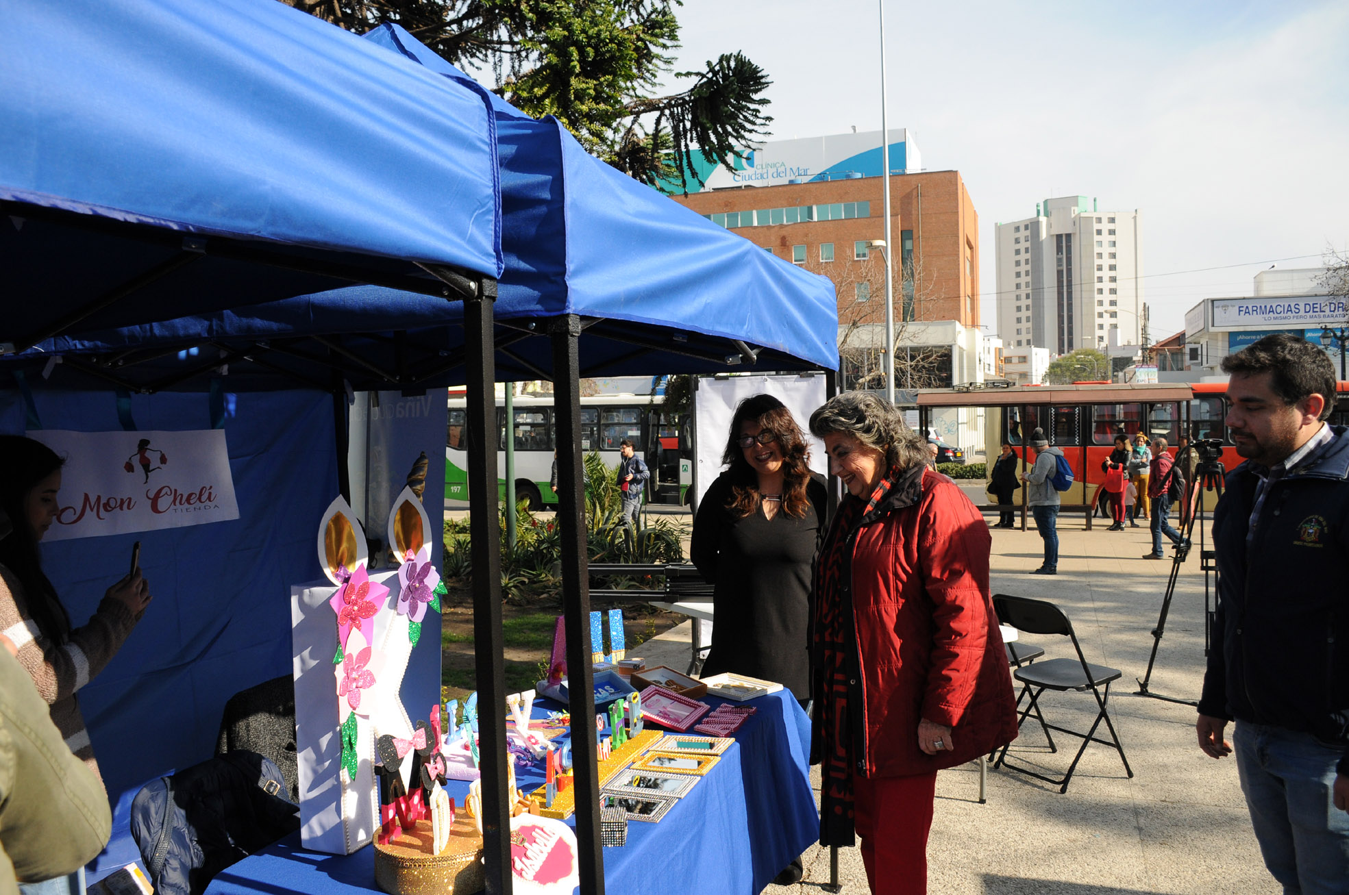 Ferias de microempresarios se tomarán Viña este invierno gracias a Proyecto de Apoyo Integral a Emprendedores