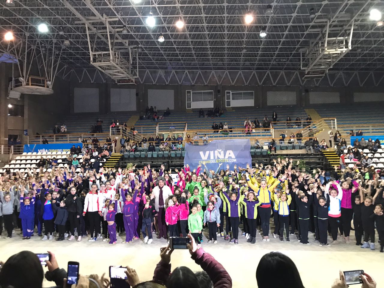 Gimnastas nacionales participaron en el 7° Encuentro realizado en Viña del Mar