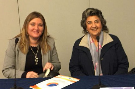 Municipalidad de Viña del Mar junto a Seremi de Medio Ambiente situación de vertederos