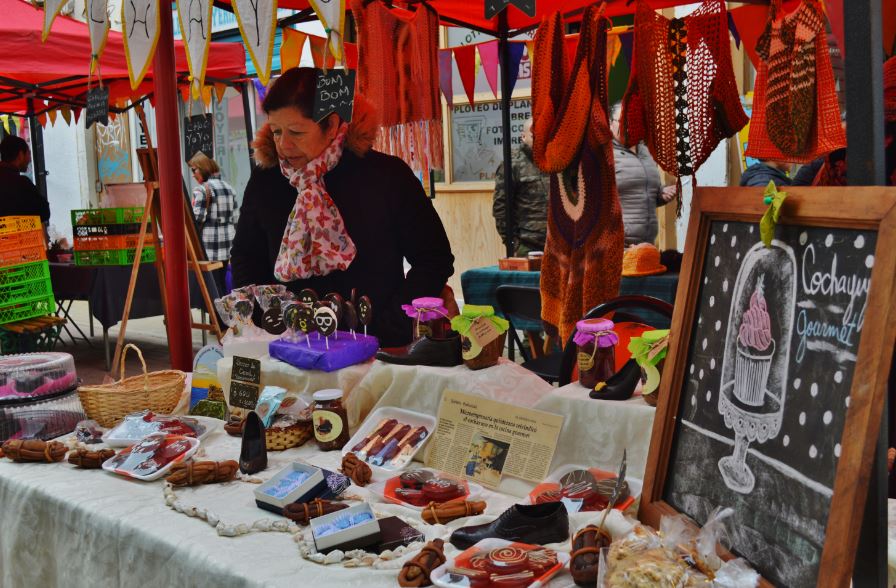 EcoFeria de Quintero ofrece desde frutos secos, licores artesanales, hasta mermelada de cochayuyo