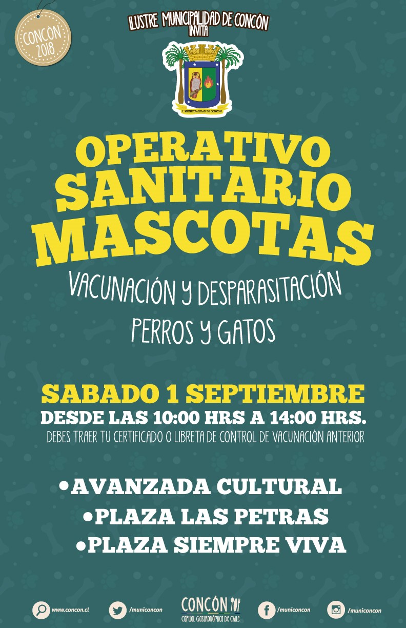 Municipio de Concón anuncia próximas fechas para operativo sanitario de mascotas para septiembre