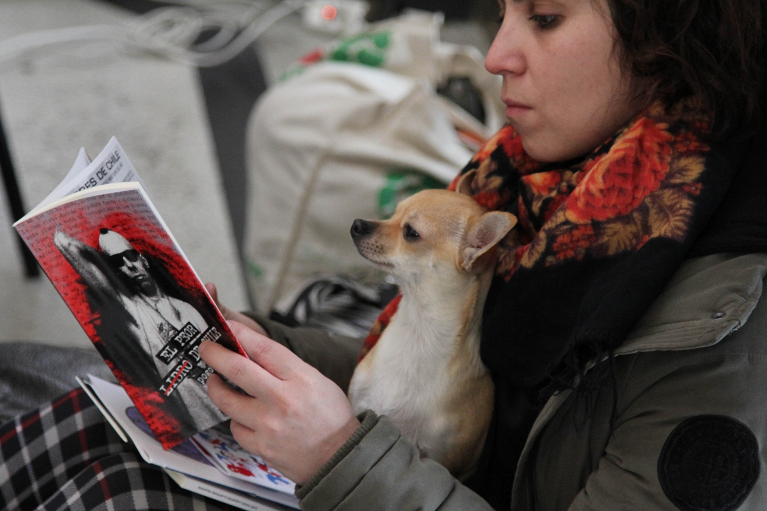 Este fin de semana se realizará la 1ª Feria del Libro Independiente de Viña del Mar