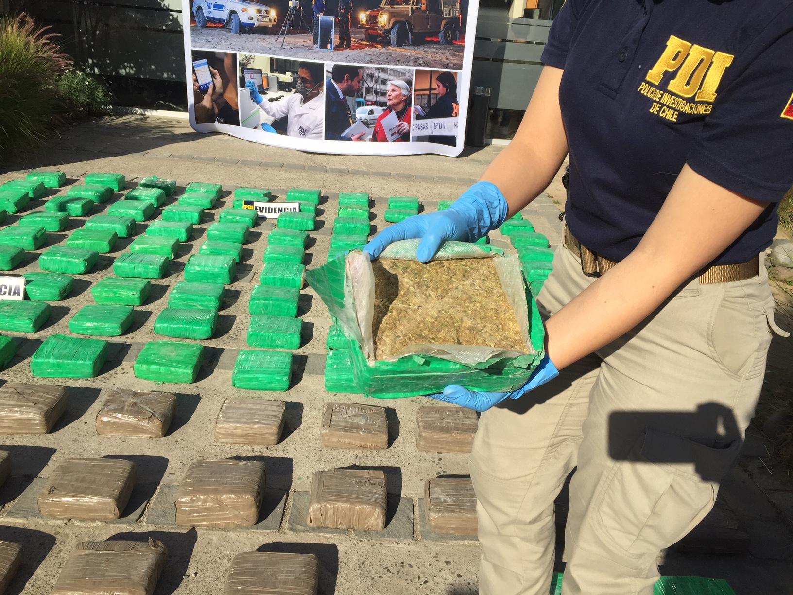 PDI de La Calera incauta 127 mil dosis de marihuana destinada a venderse en fiestas patrias