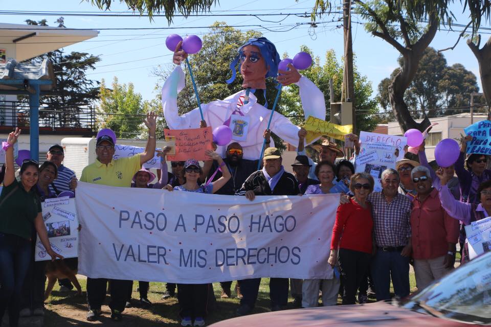 Concón: Adultos mayores realizaron caminata por sus derechos