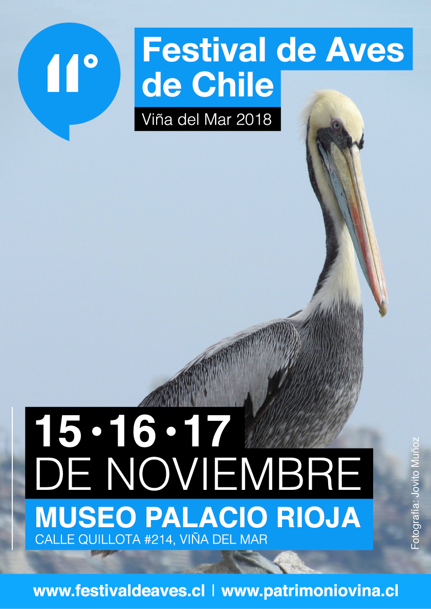 Festival de Aves de Viña del Mar invita a participar en Concurso de Fotografía enviando su imagen vía digital