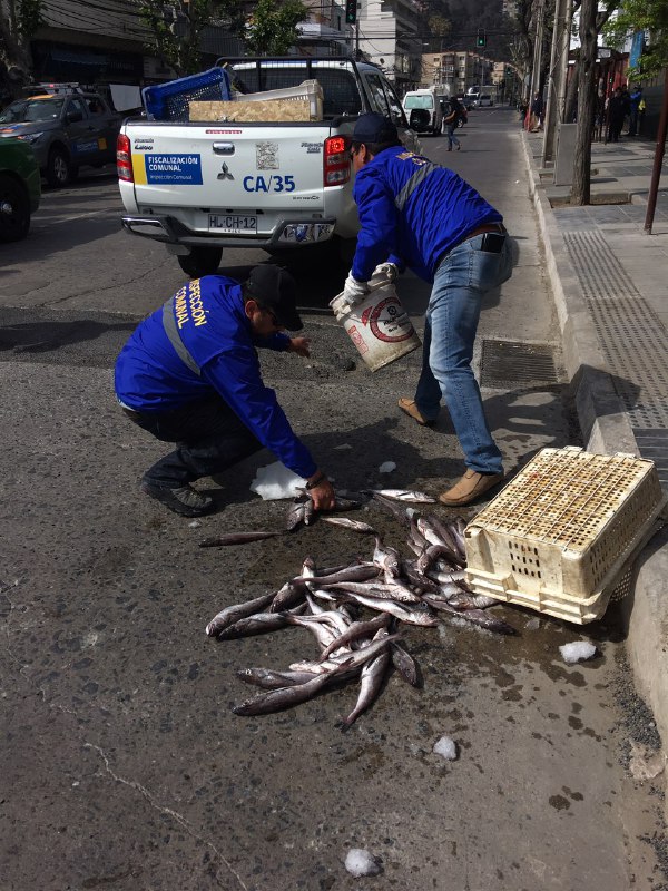 Viña del Mar: Operativo contra el comercio ilegal en calle Quillota dejó 8 detenidos