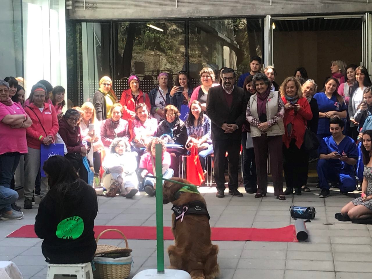 Mujeres en tratamiento post-cáncer participaron en talleres educativos y estaciones de terapia