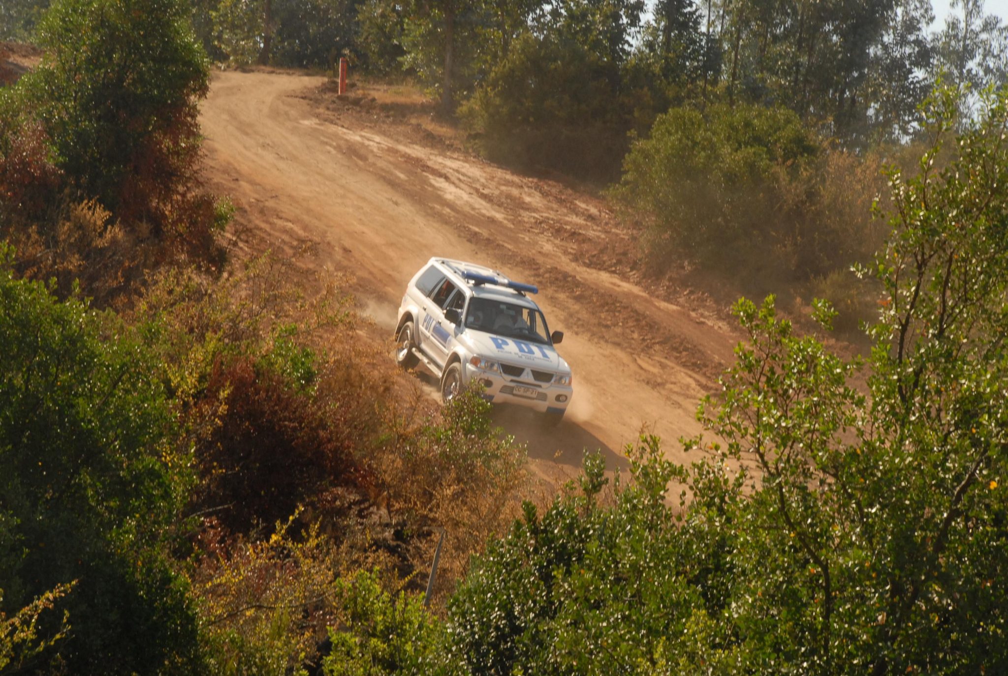 PDI de La Calera detuvo a sujeto vinculado a robo de mil kilos de paltas