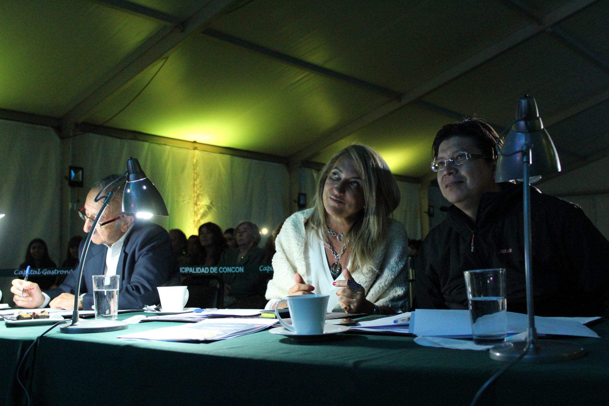 “III Festival de Artistas Emergentes de Concón 2018” ya tiene a sus ganadores