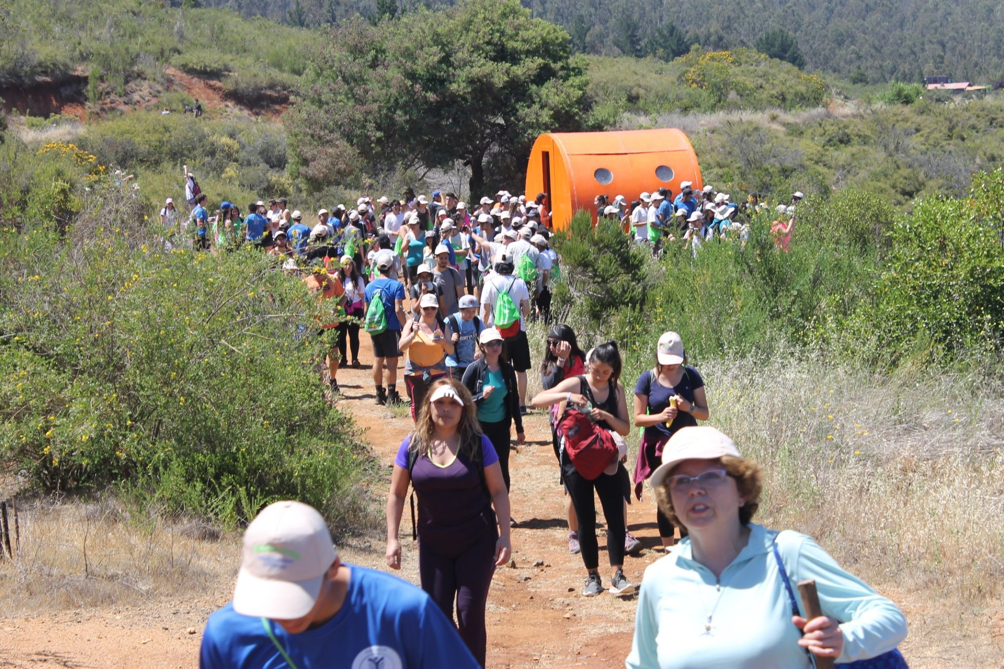 Casi 300 universitarios y funcionarios hicieron trekking en parque de Quebrada Verde