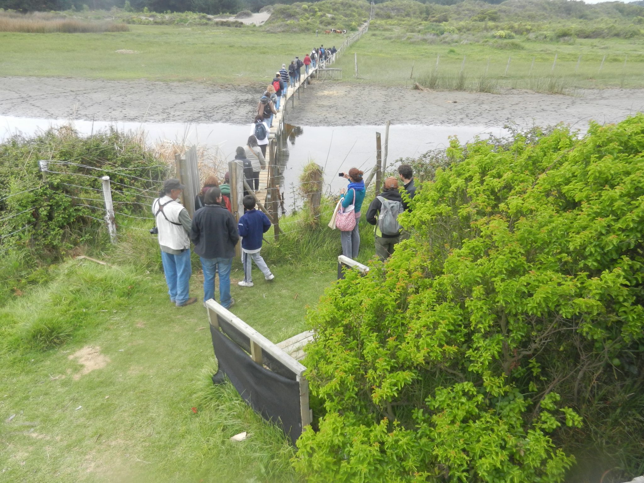 Viña del Mar: 11° Festival de Aves ya tiene actividades para el fin de semana