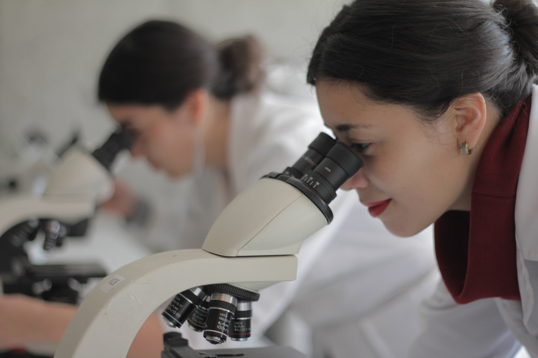 Importante reconocimiento para la UPLA: Logra segundo lugar nacional en adjudicación de proyectos Fondecyt de Iniciación