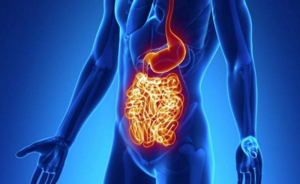 Enfermedad de Crohn: nueva opción terapéutica mejora sustantivamente la calidad de vida de pacientes