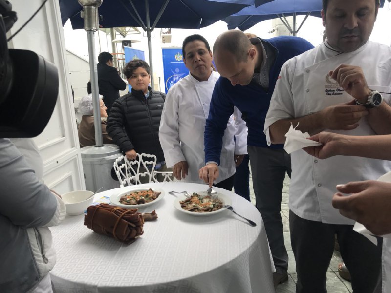 Familias viñamarinas podrán participar con su talento culinario en nuevo concurso gastronómico