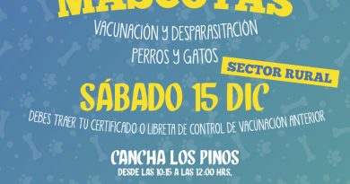 Concón: Municipio informa sobre próximo operativo de mascotas en sector rural