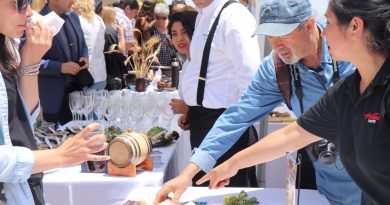 Concón lanzó su oferta de actividades para el verano 2019