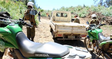 En dos meses Carabineros ha detenido a 21 personas por delitos asociados a incendios forestales en la región