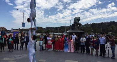Viña del Mar presenta una variada programación para celebrar Año Nuevo Chino