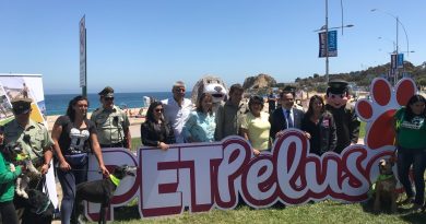 PetPalusa: Llega a Viña del Mar la mayor fiesta mascotera del país