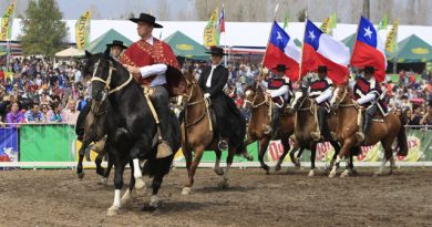 Escuadra Ecuestre Palmas de Peñaflor se presenta en el marco de los 50 años del Festival del Huaso de Olmué
