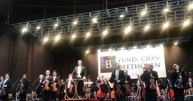 Gran convocatoria tuvo la primera sesión de Conciertos de Verano en Quinta Vergara