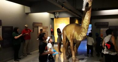 Concón: Alumnos de talleres arqueológicos y paleontológicos visitan Museo Nacional de Historia Natural de Santiago