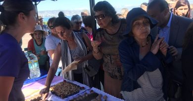 Viña del Mar: Se invita a la comunidad a inscribirse en el Programa de Adultos Mayores Autovalentes