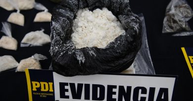 Valparaíso: PDI detiene a madre e hijo por microtráfico en Cerro Cordillera