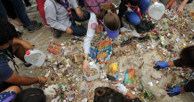 Masivo operativo de limpieza marca compromiso con el medio ambiente del Festival de Viña 2019