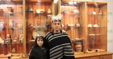 Cosmovisión de pueblos originarios cautiva al público en la Sala Viña del Mar