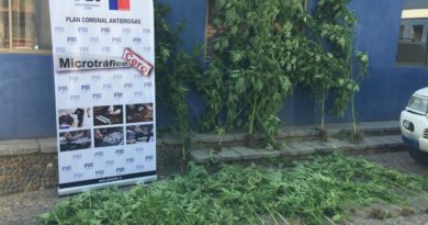 PDI de La Ligua detiene a adulto mayor con droga avaluada en 336 millones de pesos