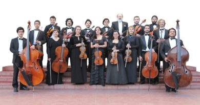 Obras de compositores europeos y chilenos interpretará la Orquesta Marga Marga en el Museo Palacio Rioja