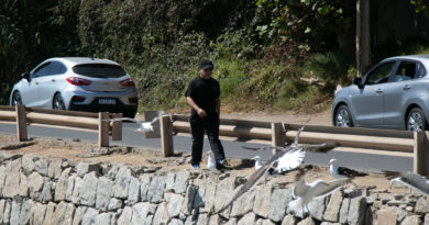 Concón: Empresarios turísticos solicitan mejoras en camino costero