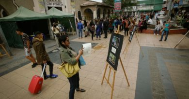 Mujeres de Villa Alemana fueron ícono de montaje artístico que refleja la actividad laboral en la comuna