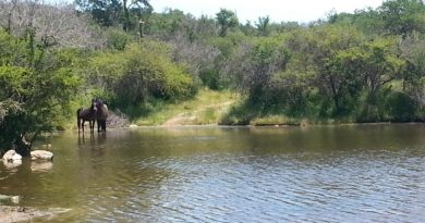 Innovadora iniciativa: #basurachallenge llega a Marga Marga