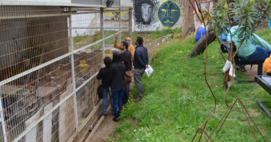 Universidad de Playa Ancha se prepara para nueva certificación en sustentabilidad