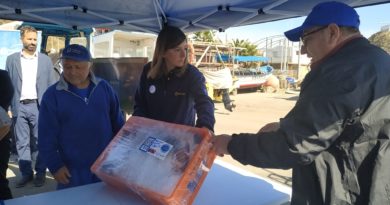 Sernapesca y Fondo de Fomento para la Pesca Artesanal lanzan programa piloto que beneficiará a pescadores y consumidores.