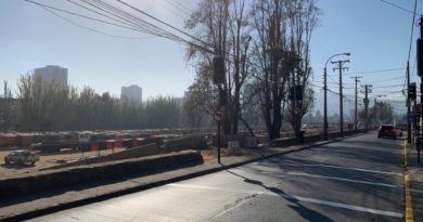 Viña del Mar: Feria Marga Marga de Viña del Mar comienza a funcionar en nueva ubicación