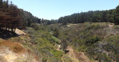 Analizaron en la UPLA los cambios del uso de suelo entre Quintay y Tunquén en los últimos 50 años