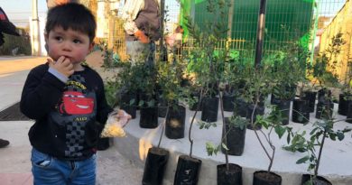 Gobernación de Marga Marga realizó la Primera Feria de la Infancia en Quilpué