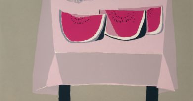 Exposición “Roser Bru, navegante transoceánica” llega a la Sala Viña del Mar