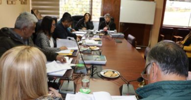 Concejo Municipal de Concón aprobó la compra e implementación de nuevas cámaras de seguridad