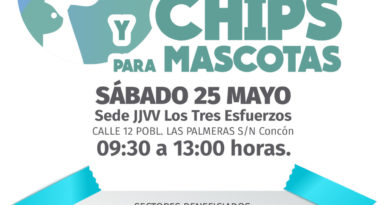 Municipio de Concón realizará un operativo de implantación de microchips este sábado