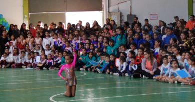 Colegio Theodor Heuss de Quilpué reunió a más de 500 participantes en 7° Campeonato de Gimnasia Artística