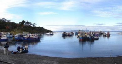 Puchuncaví: MOP construye nuevo muelle para pescadores de Caleta Ventanas