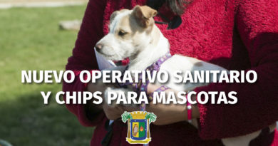 Concón tendrá nuevo operativo de mascotas en sector Villa Primavera este sábado